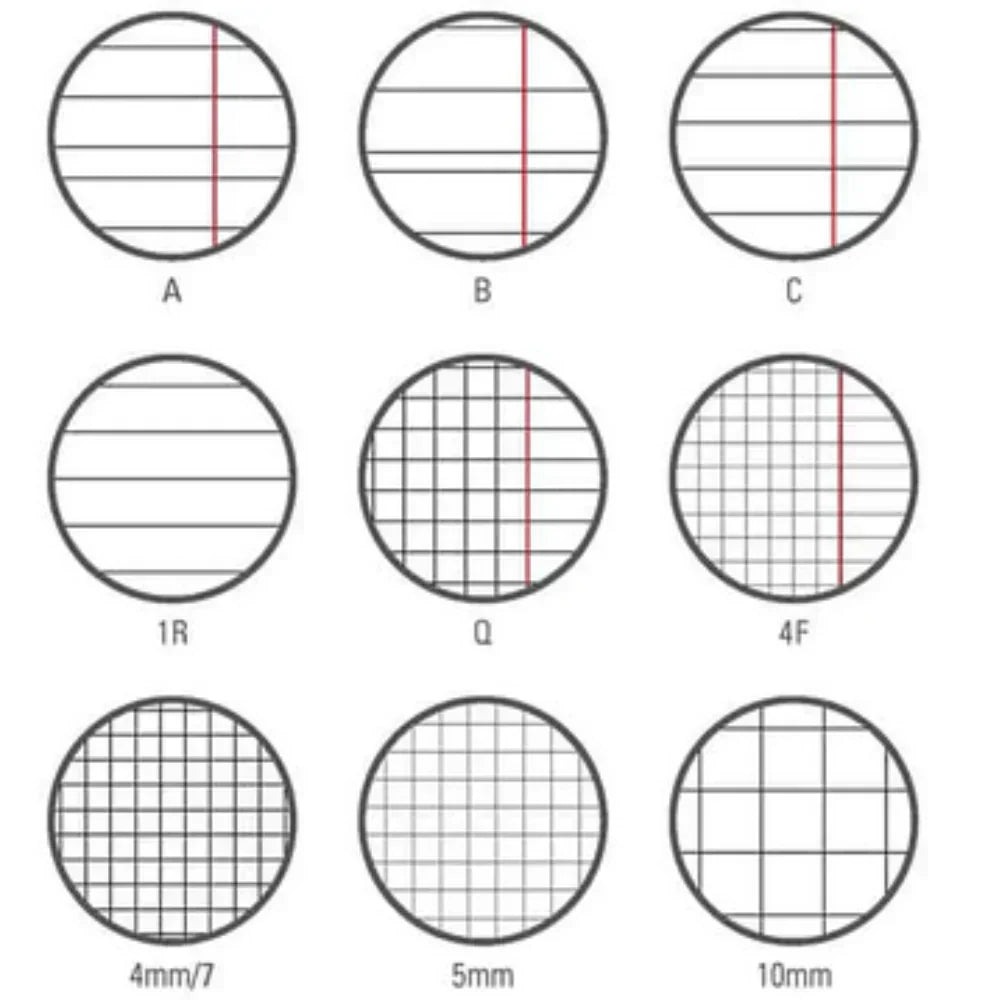 Rigatura Quaderni: Guida Completa ai Codici A, B, C, Q e Blasetti