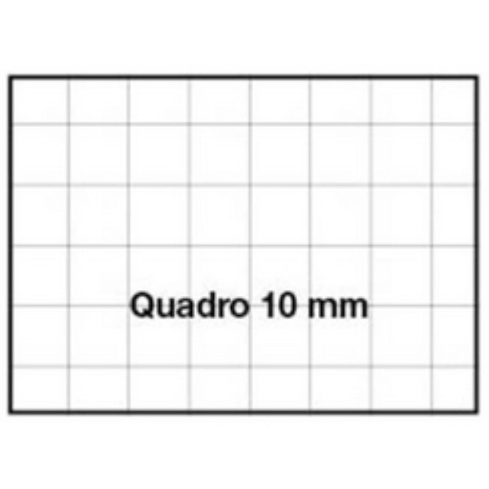 Quaderno Cartonato A4 Blasetti One Color - Quadrone 10mm Prima e Seconda Elementare