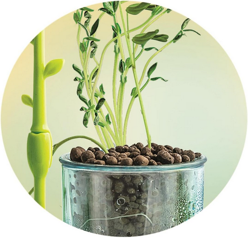 Clementoni scienza & gioco Botanica e Idrocultura laboratorio