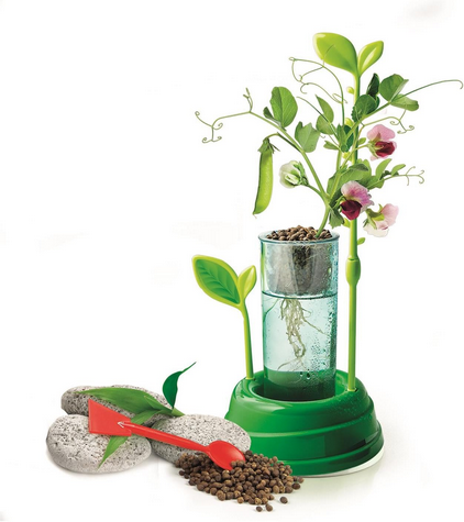 Clementoni scienza & gioco Botanica e Idrocultura laboratorio