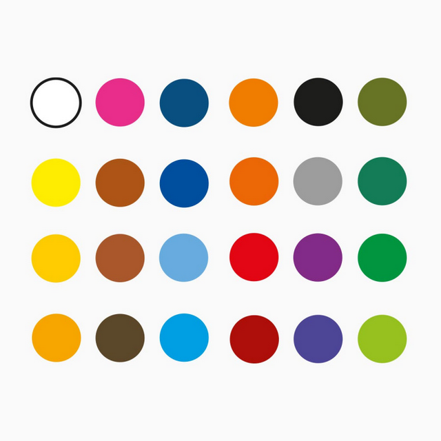 Acquerelli professionali Carioca plus 12 colori disponibli da cartoleria claudio a giugliano in campania napoli
