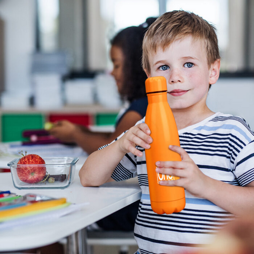 Borraccia Termica Blasetti One Color 500ml - Acciaio Inox