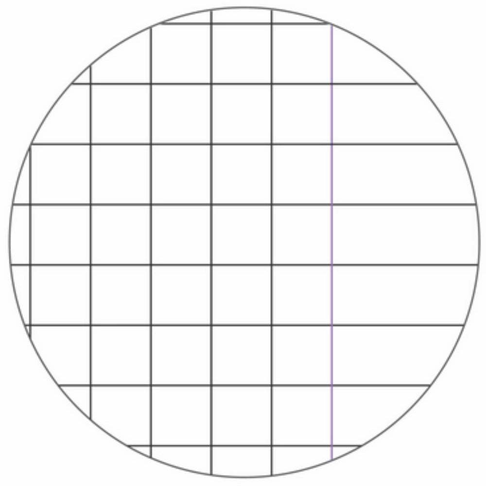 Quaderno Cartonato A4 Blasetti One Color - Rigatura Q Terza Elementare