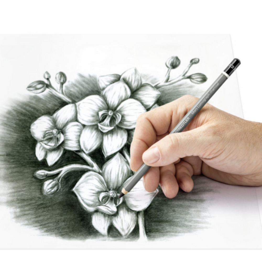 Matite Staedtler Lumograph Set Carboncino - Disegno Artistico Professionale