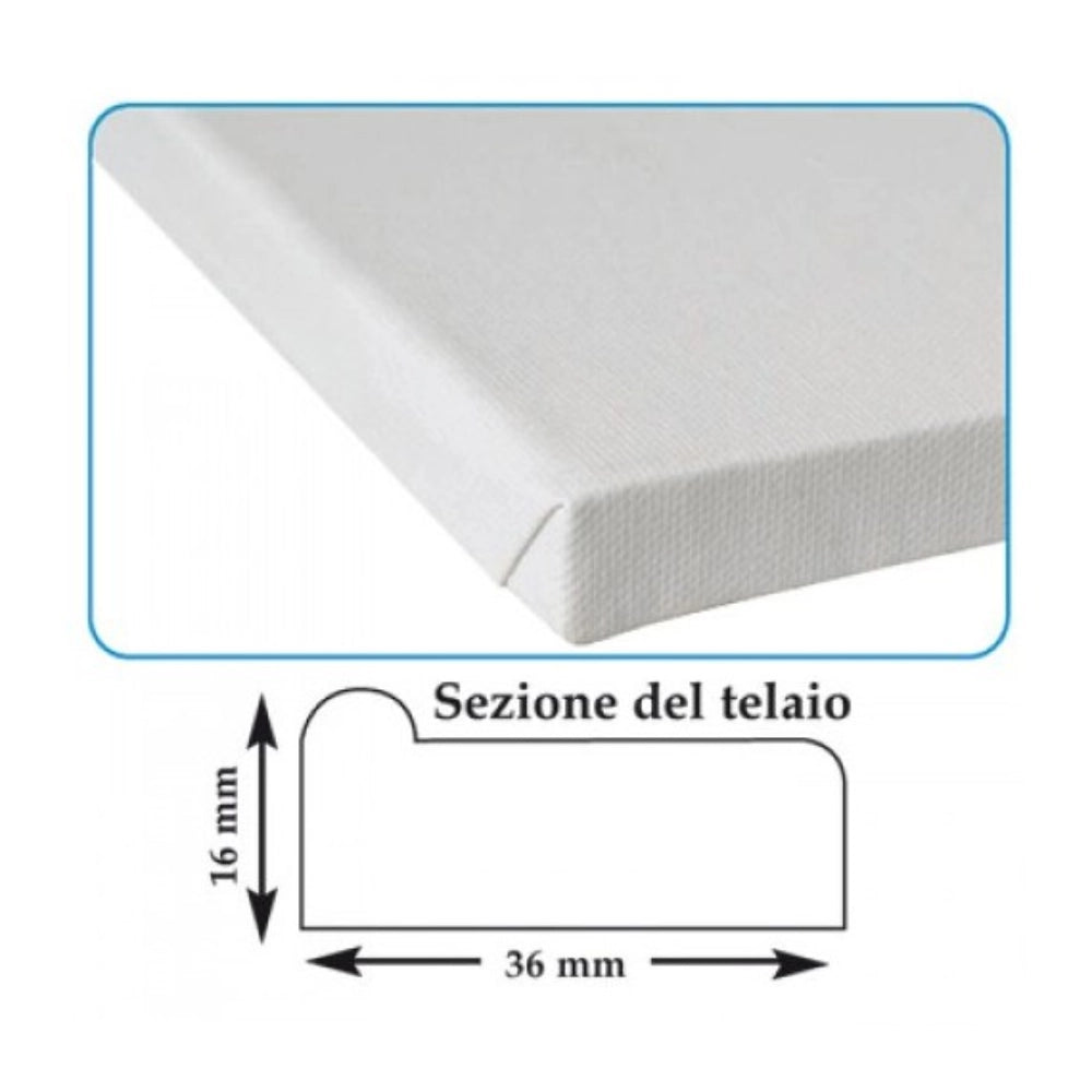 Tela su Telaio in Legno 20x30 cm – Alta Qualità 380g